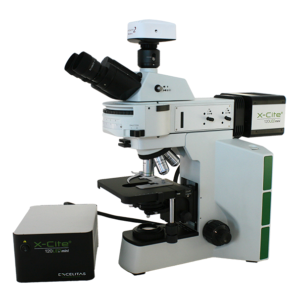 Life Science Microscopes