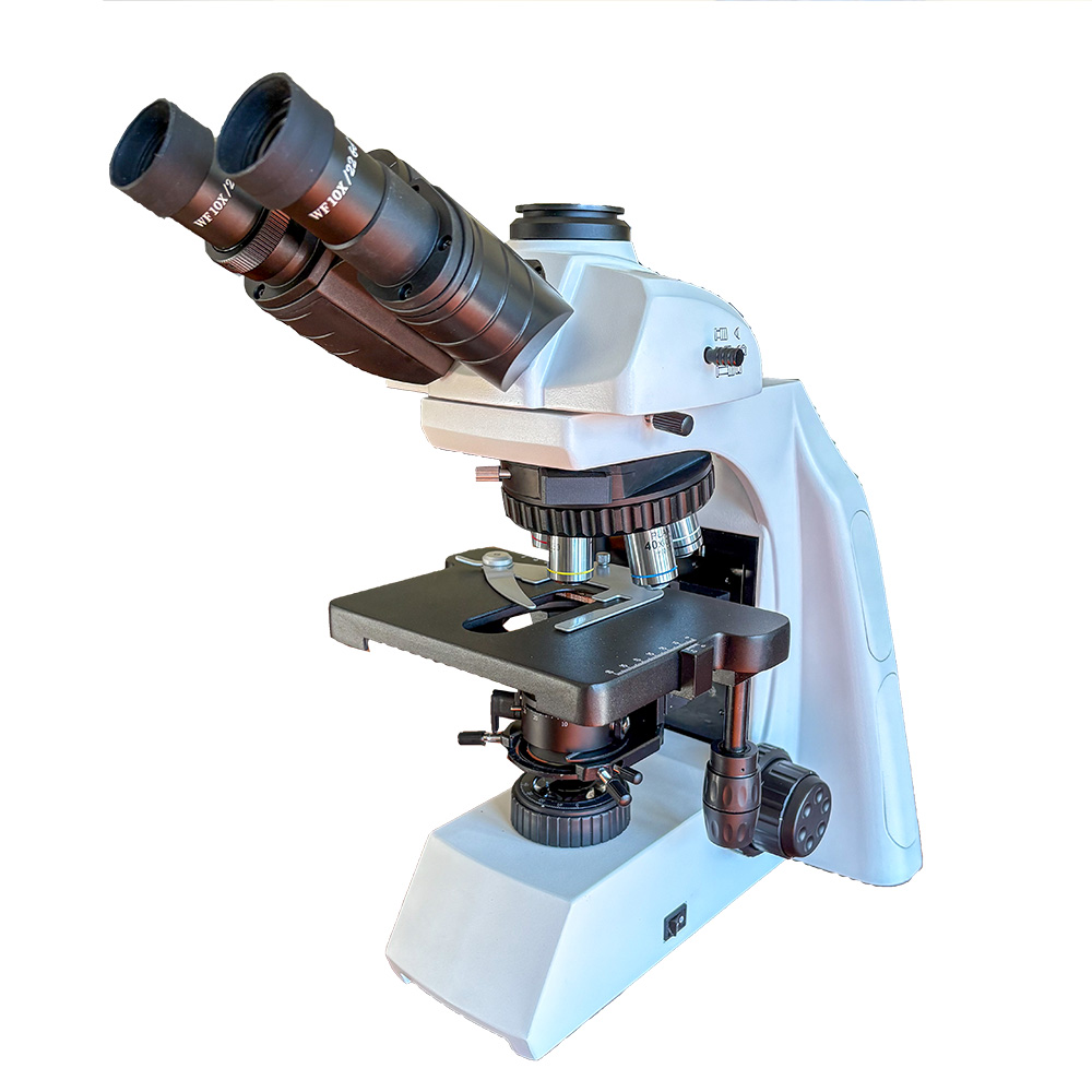 RB31 Trinocular Microscope
