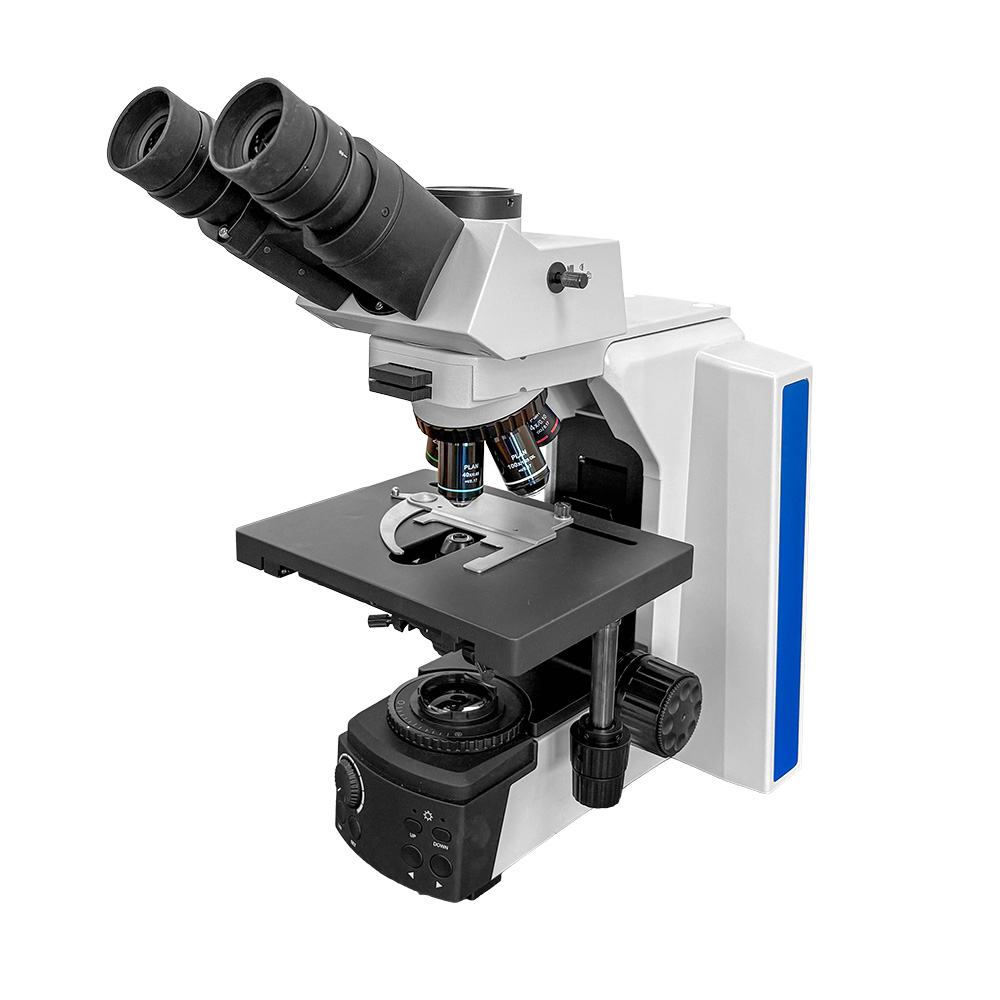 RB41 Trinocular Microscope